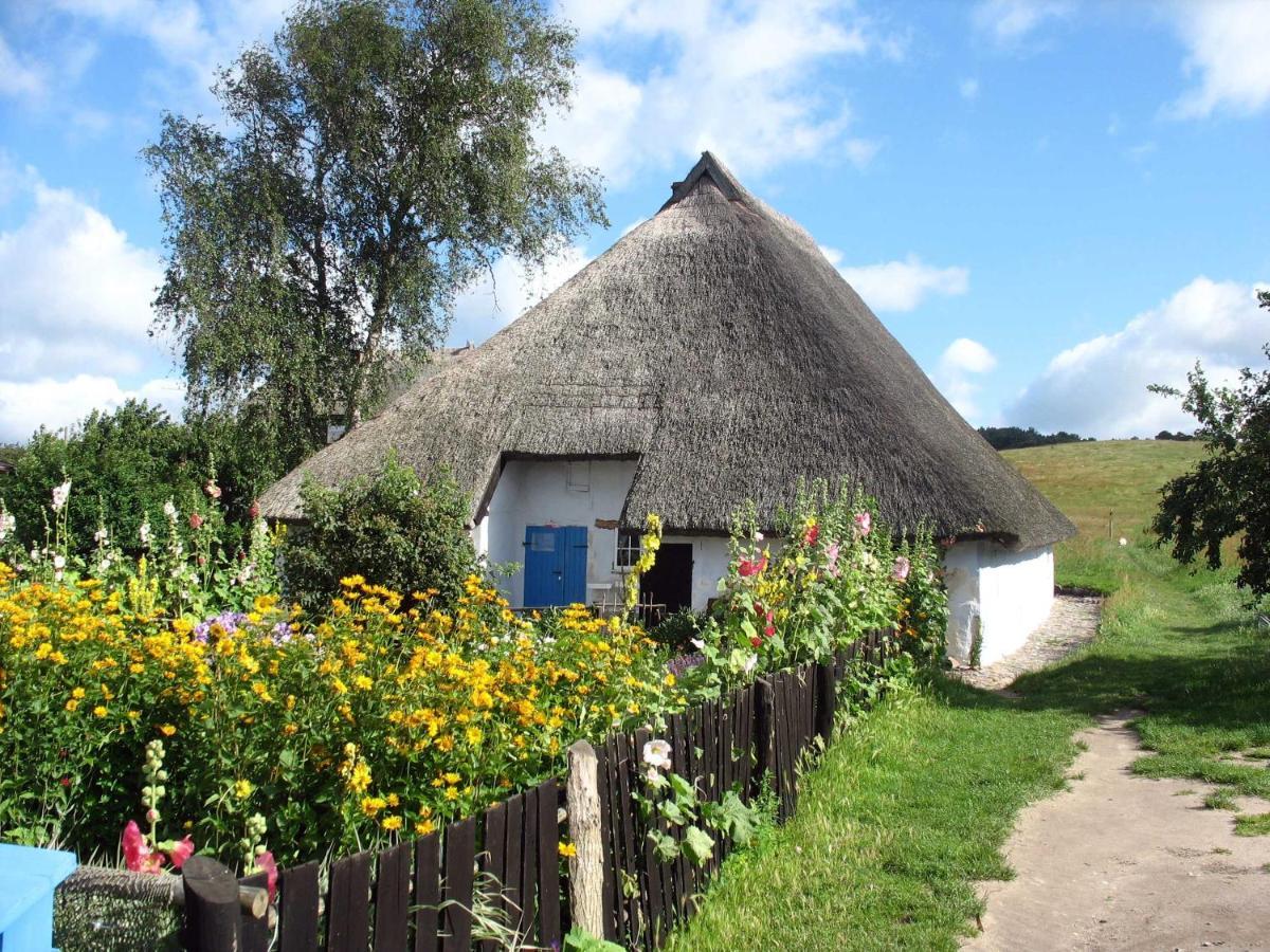 Ferienhaus Zum Boddenstrand Mit Ka Groß Zicker المظهر الخارجي الصورة